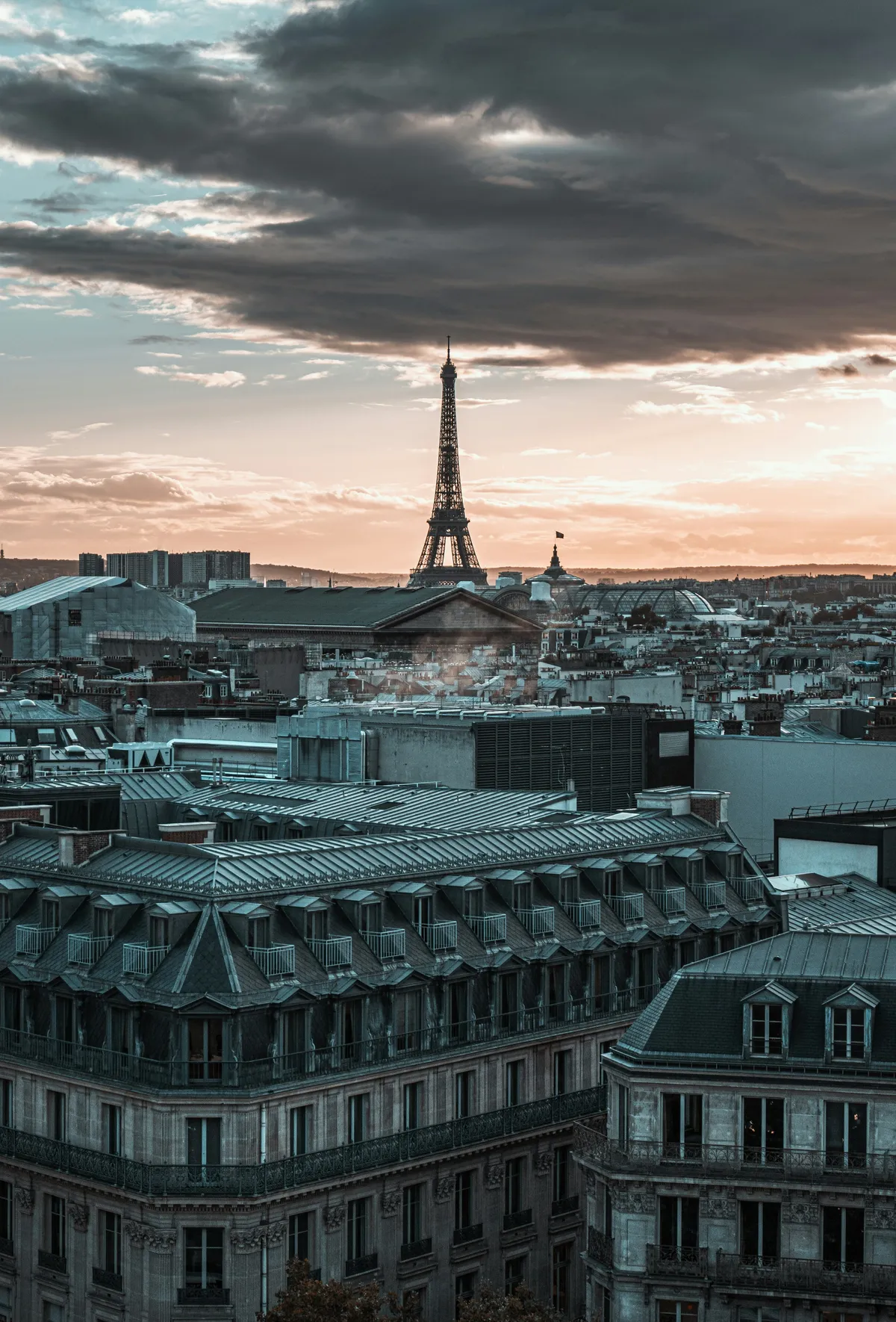 The Eiffel Tower above the rooftops of Paris at sunset